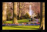 Keukenhof Hollandia 078